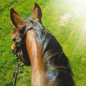 Meet your Posher, Kelly